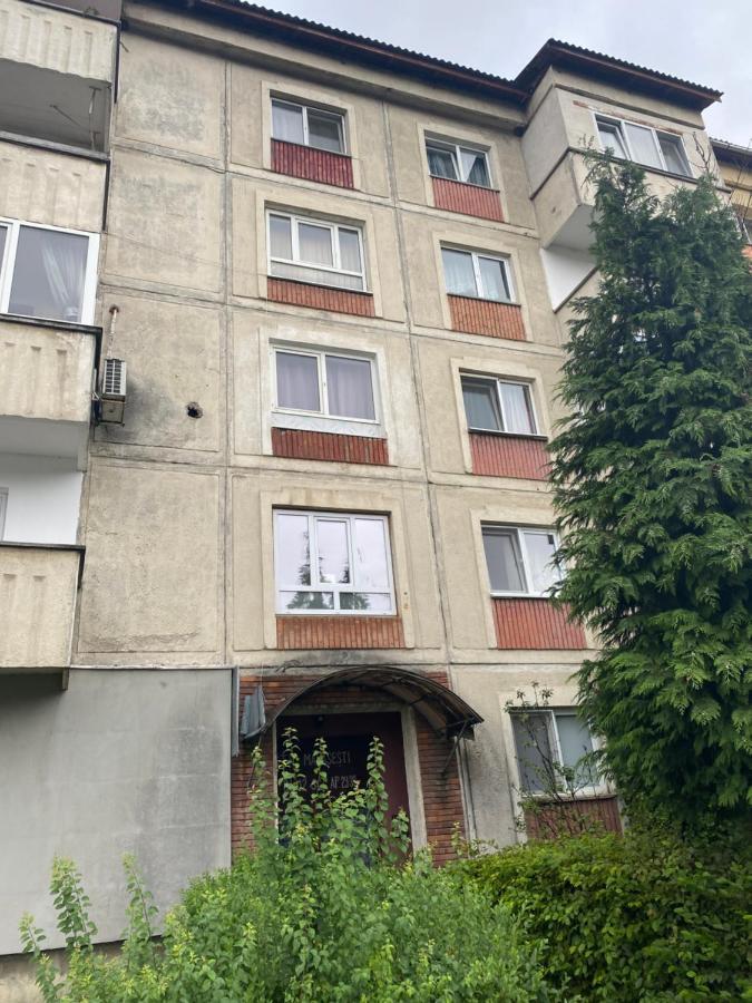 Apartament Marasesti Baia Mare Exteriér fotografie